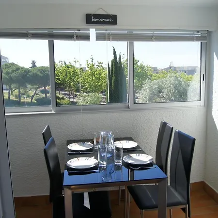 Lara 3 - T2 Loggia Piscine 2 Lits Doubles Parking Pres Du Centre-port Et Ile Loisirs * 아그