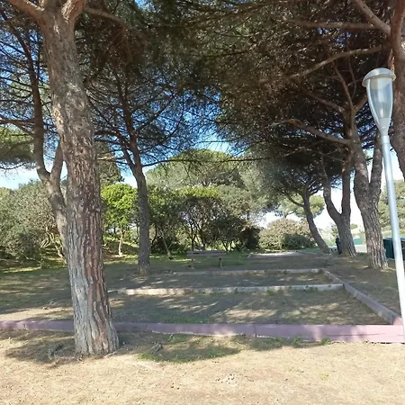 Lara 3 - T2 Loggia Piscine 2 Lits Doubles Parking Pres Du Centre-port Et Ile Loisirs Agde